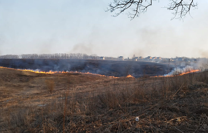 В Туле горит поле между микрорайоном Левобережный и селом Осиновая гора