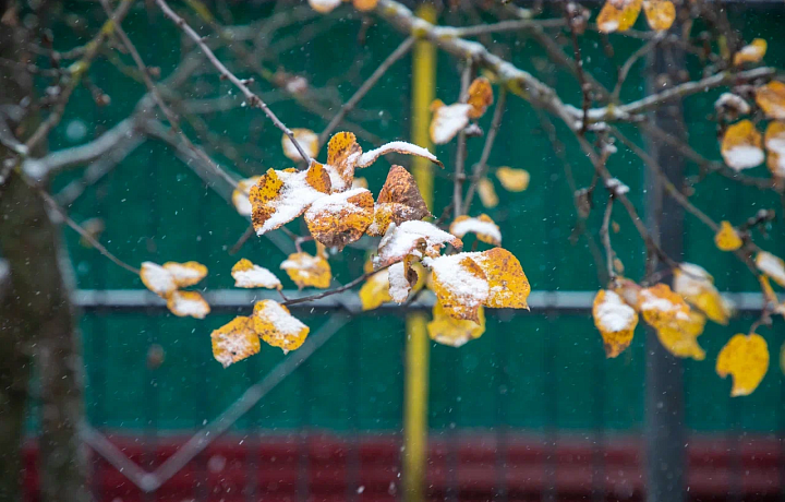 Утром 9 октября в Туле пошел первый снег