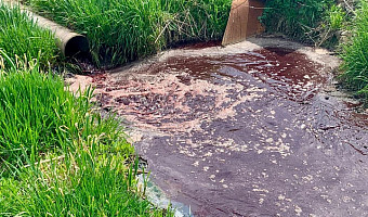 Мясокомбинат в Донском сливал кровавые стоки в реку: ущерб превысил 7 миллионов рублей
