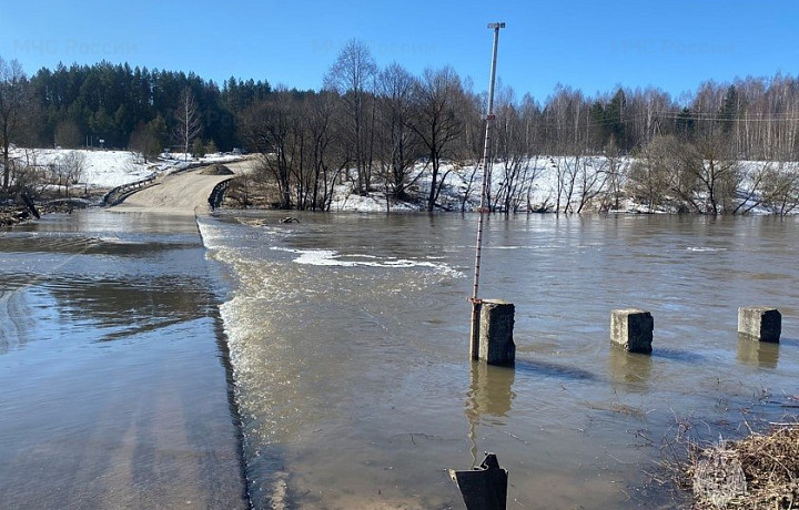 В двух районах Тульской области подтопило четыре низководных моста