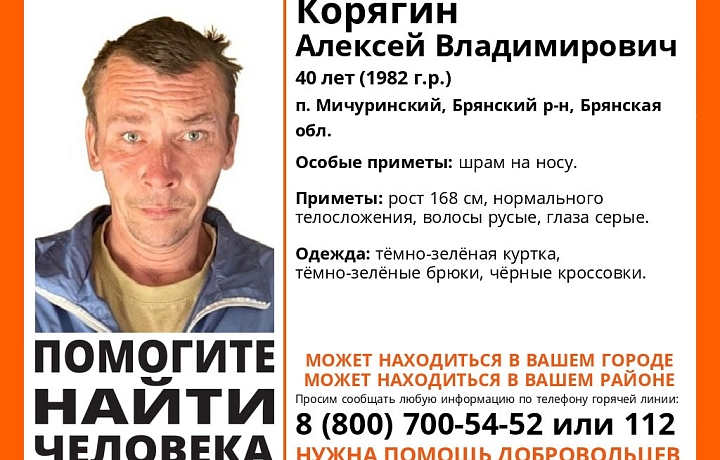 Пропавший под Брянском 40-летний мужчина может находиться в Тульской области