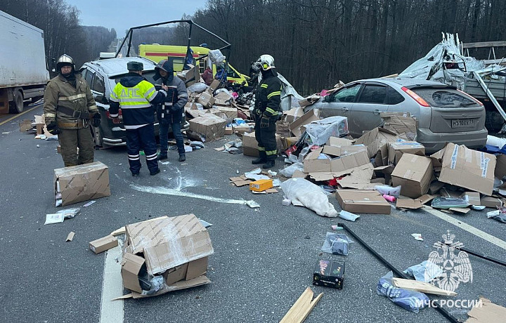 ﻿В массовом ДТП на трассе М-2 под Тулой пострадали три человека, двое погибли