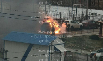 На улице Михеева в Туле сгорел легковой автомобиль
