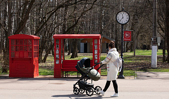 В Тульской области женщины до 24 лет стали чаще рожать