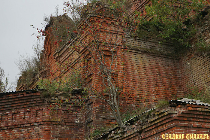 Первый храм построил Иван Грозный, второй проектировал автор собора Петра и Павла в Петергофе: в Жеремино хотят восстановить уникальную церковь