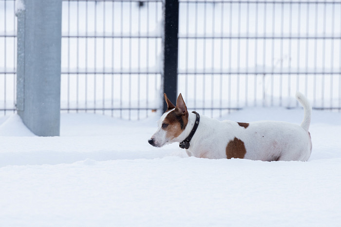 Тулу засыпало снегом: как в городе борются с последствиями стихии