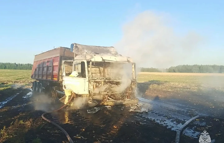 Спасатели потушили пять пожаров в Тульской области за сутки