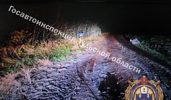 Иномарка не уступила дорогу велосипеду и устроила ДТП в Туле