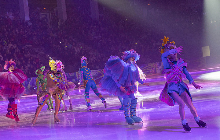 Тулякам показали ледовое шоу по инициативе Алексея Дюмина