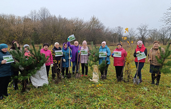 В Воловском районе Тульской области высадили деревья в рамках акции «Сохраним лес»