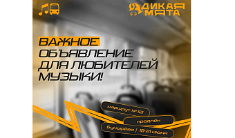 Маршрут «Алексин–Заокск» продлят до Бунырево на время фестиваля «Дикая Мята»