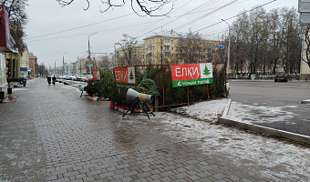В Туле начали работать ёлочные базары