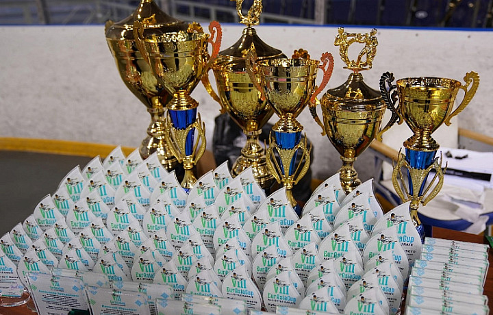 Туляки забрали 25 медалей на соревнованиях по всестилевому карате