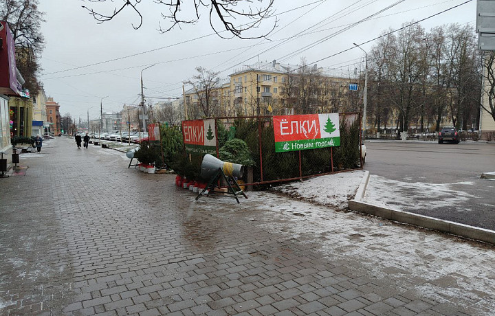 В Туле начали работать ёлочные базары