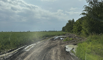 Бастрыкин потребовал доклад по проверке состояния дороги в деревне Грабоново: на проблему обращала внимание Тульская служба новостей