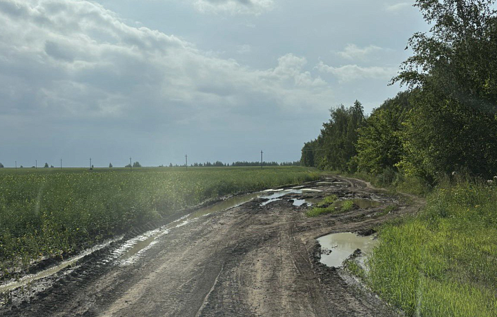 Бастрыкин потребовал доклад по проверке состояния дороги в деревне Грабоново: на проблему обращала внимание Тульская служба новостей