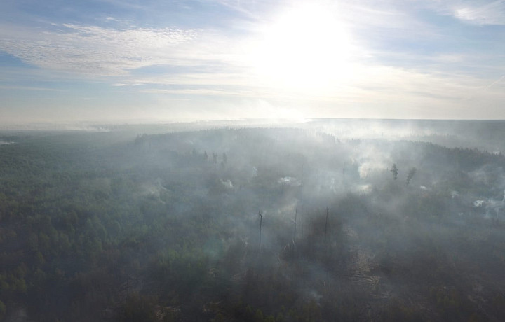 Сотрудники тульского МЧС России сняли с воздуха лесные пожары в Рязанской области