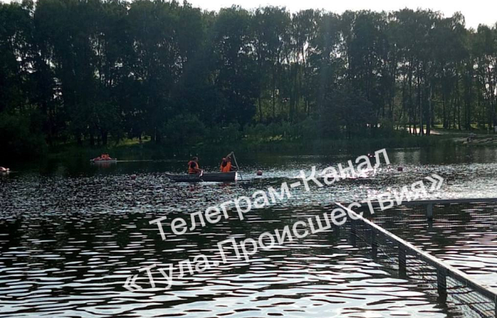 В пруду Центрального парка Тулы спасатели искали тело человека