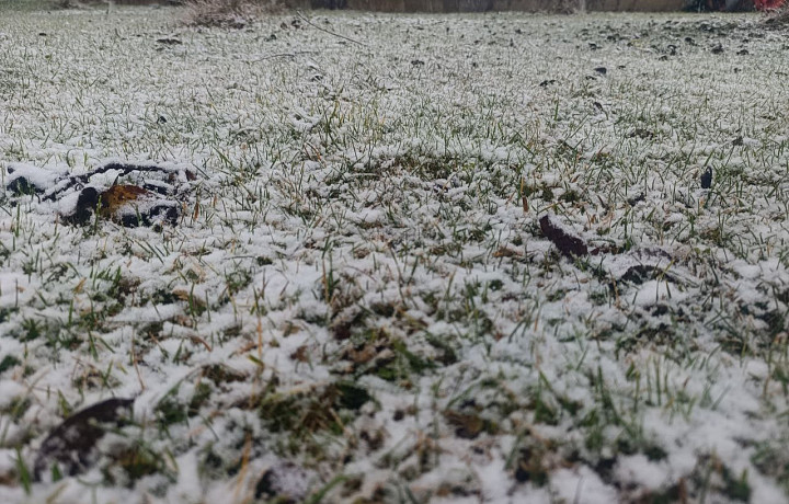 Часть Тулы и районов области засыпало первым снегом