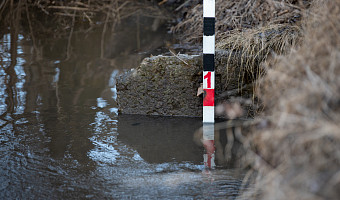 Тулякам, пострадавшим от паводка, могут выплатить компенсацию