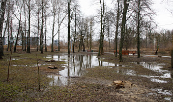 Из Баташевского сада в Туле начала уходить вода