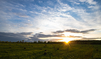 Синоптики пообещали возвращение теплой погоды в Тулу в конце лета