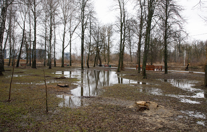 Из Баташевского сада в Туле начала уходить вода
