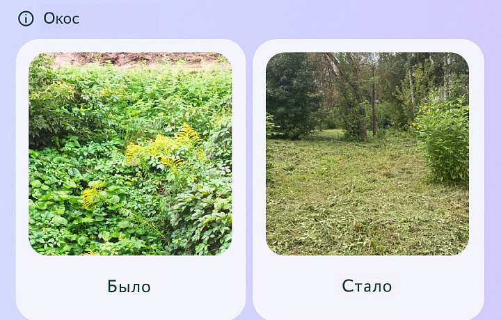 За неделю туляки решили 610 проблем с помощью портала «Открытый регион 71»