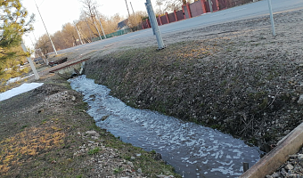 Жители села Ненашево пожаловались на сброс навозной жидкости в реку Выпрейку
