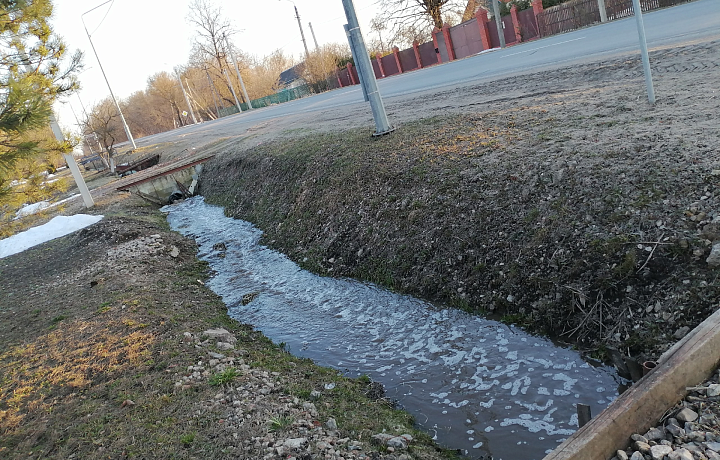 Жители села Ненашево пожаловались на сброс навозной жидкости в реку Выпрейку