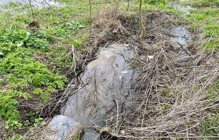 Жители веневского села Хавки пожаловались на сточные воды