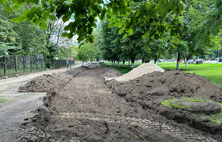 При строительстве велотрассы «Лев Толстой» на проспекте Ленина Тулы уберут три дерева