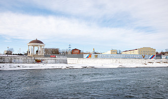 12 марта в Туле и области потеплеет до +9 градусов
