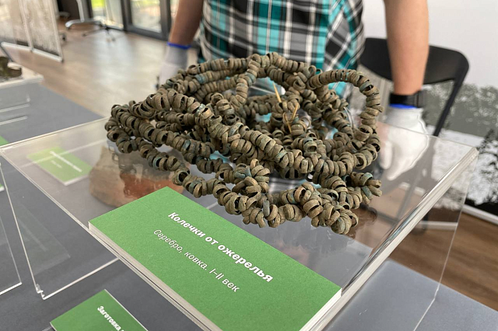 Музею «Куликово поле» передан археологический клад, найденный неподалеку от Тулы черным копателем