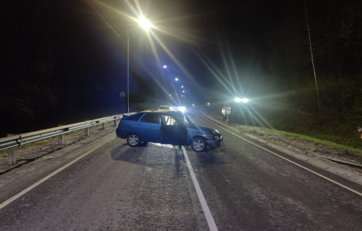 В ДТП с дикими животными в этом году в Тульской области пострадали семь человек