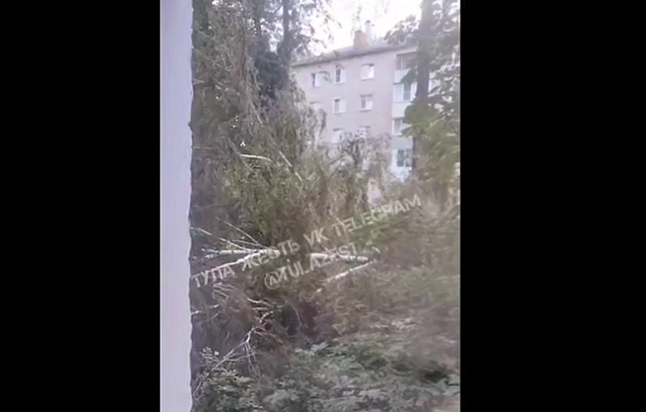 В Туле дерево, упавшее на улице Седова, оборвало линию электропередачи