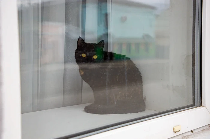 Пустеющая улица Пирогова в Туле: работа без вывесок и патрули ГИБДД