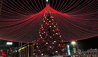 С новой ёлкой! Как встретят 2026 год в Туле и области?