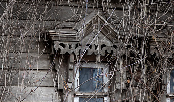 Эксперты рассказали, почему зумеры скупают деревенские дома