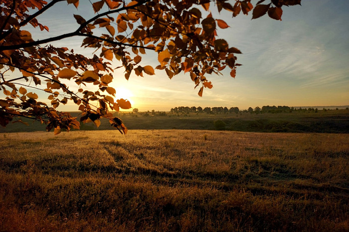 В Тульской области местный житель зафиксировал красивый рассвет