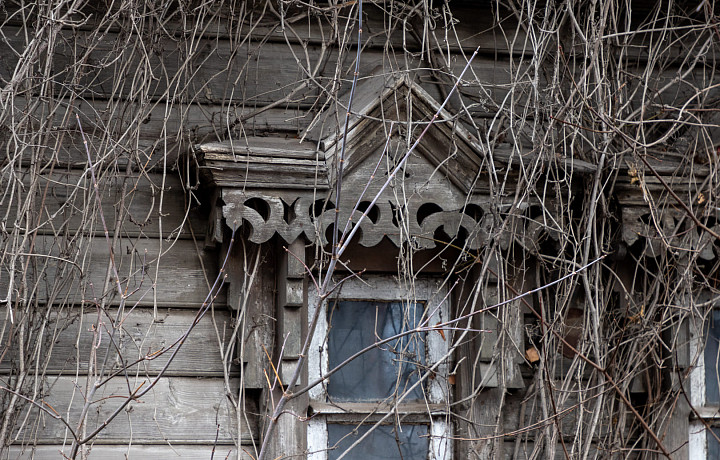 Эксперты рассказали, почему зумеры скупают деревенские дома