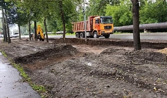 На улице Гумилёвской в Туле вырубили деревья для парковки