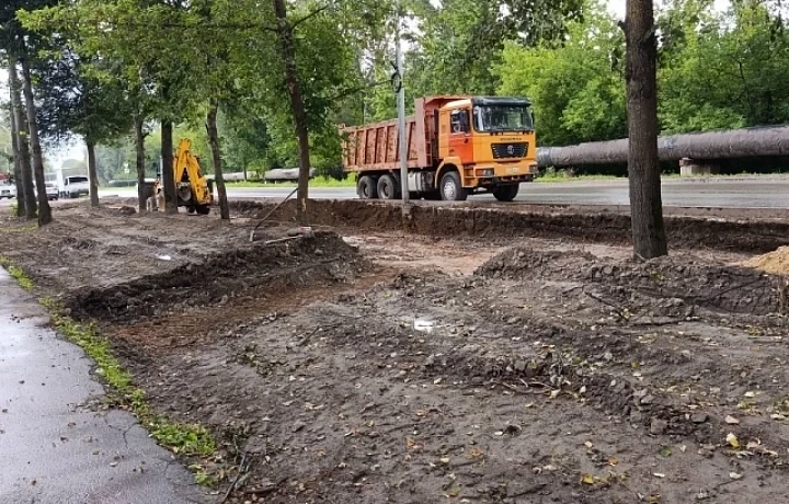 На улице Гумилёвской в Туле вырубили деревья для парковки