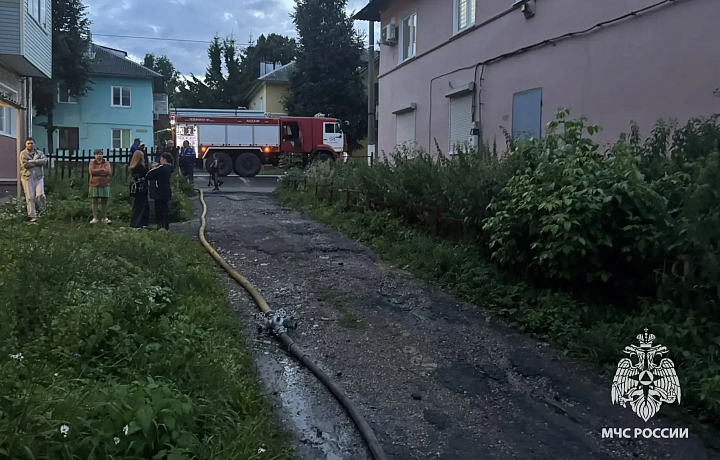 Следователи начали проверку из-за гибели двух человек при пожаре в Богородицке