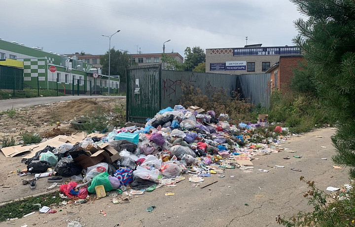 Алексинцы возмутились горе мусора в городе
