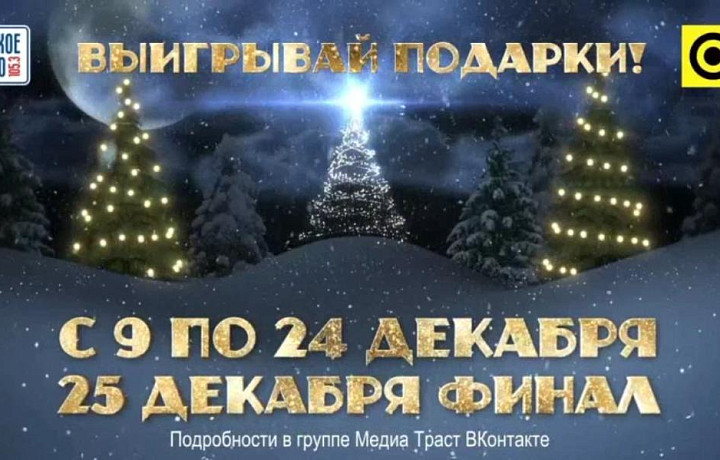 В Туле стартовал новогодний марафон подарков «Елки-иголки»