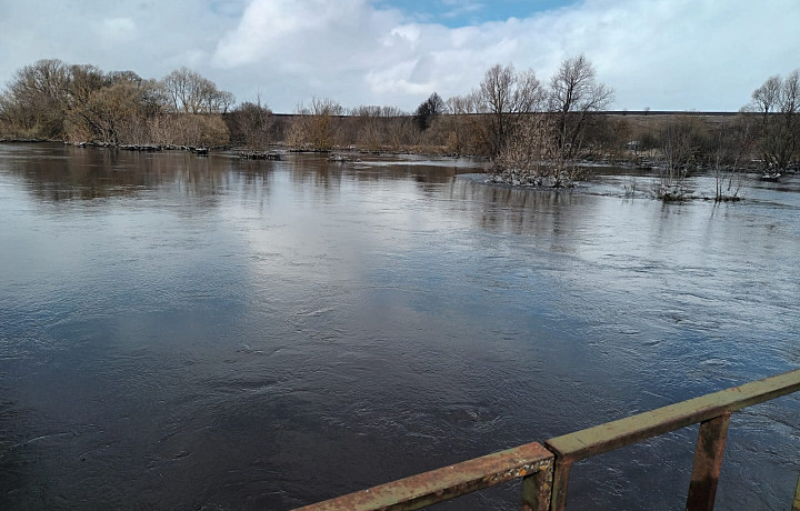 Туляк показал последствия половодья в Плавском районе