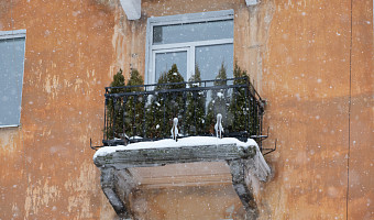 В Тульской области объявили метеопредупреждение из-за мороза 24 января