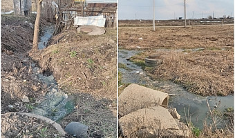 Приключения в России: итальянцы оказались замешаны в текущих по огородам фекалиях в Киреевске