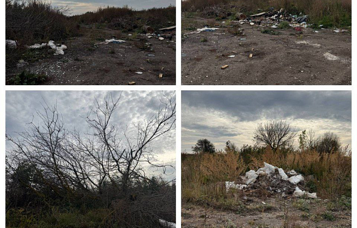 В поселке Юрьевский Плавского района прокуратура нашла несанкционированную свалку